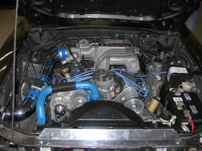 DSCN0033.webp