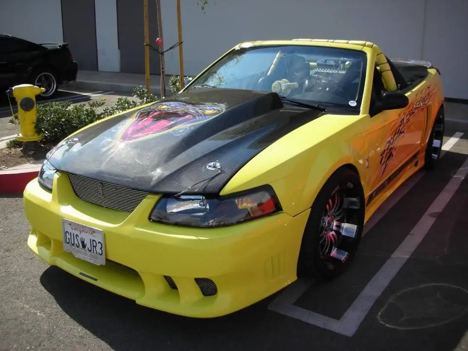 DSCN0035.webp