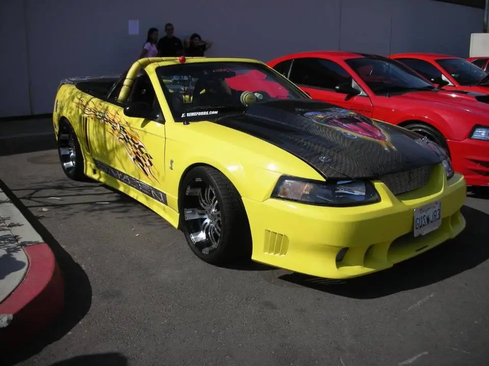 DSCN0037.webp