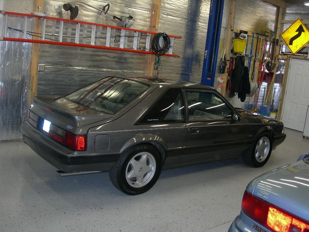 DSCN0037.webp