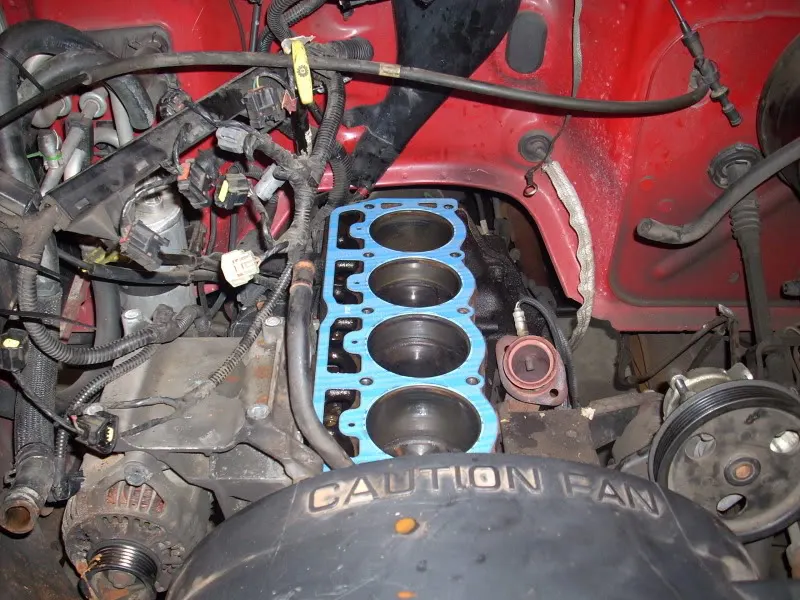 DSCN0041.webp