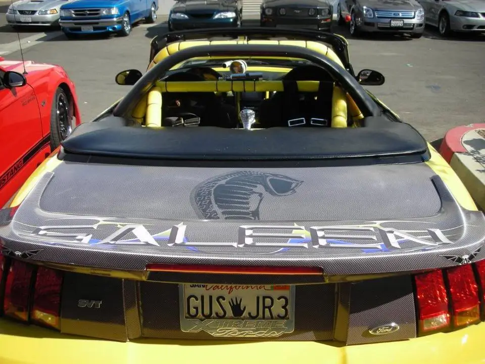 DSCN0041.webp