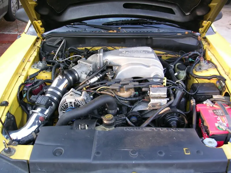 DSCN0048.webp