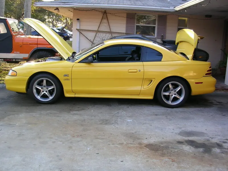 DSCN0050.webp