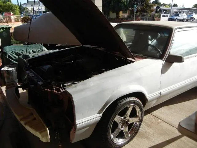 DSCN0051.webp