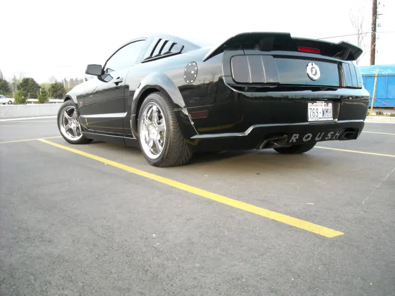 DSCN0065.webp
