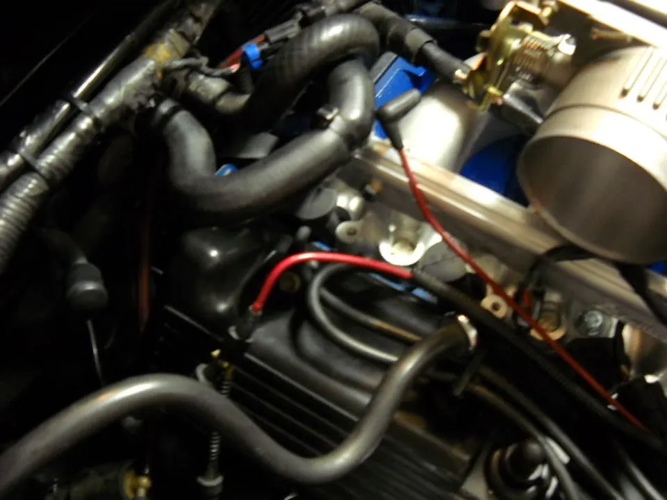 DSCN0066-1.webp