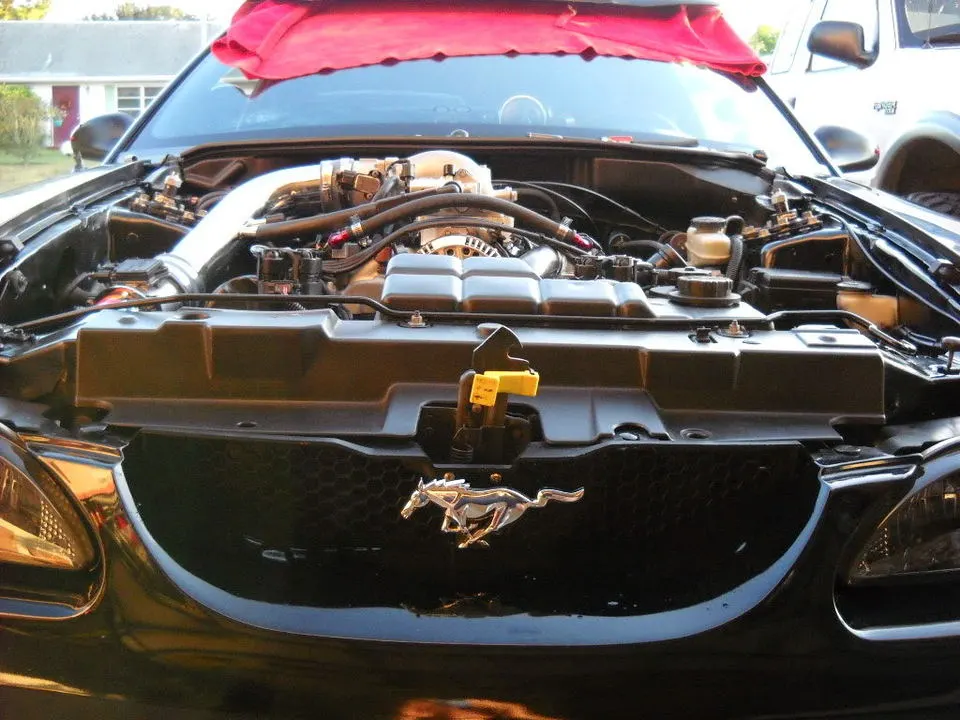 DSCN0069.webp