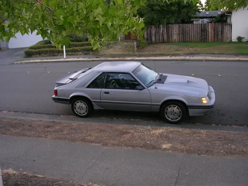 DSCN0073.webp