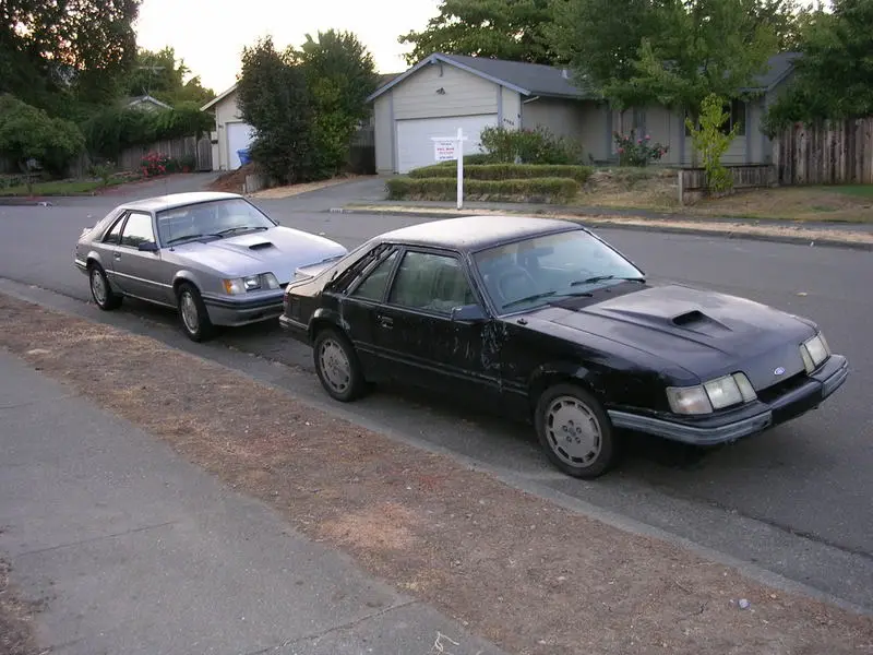 DSCN0074.webp
