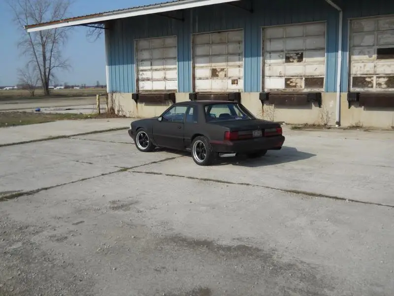 DSCN0075.webp