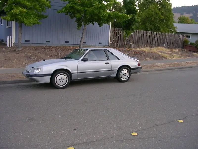 DSCN0075.webp