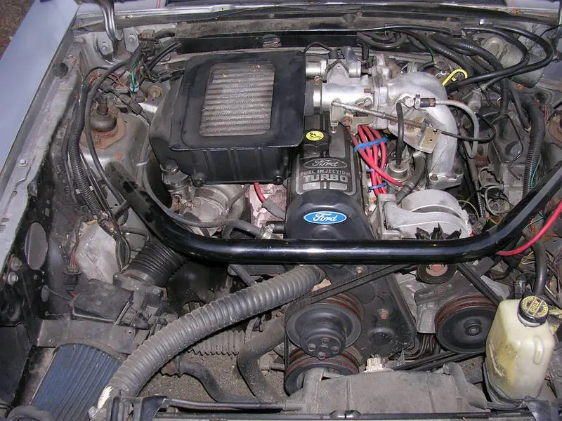 DSCN0082.webp