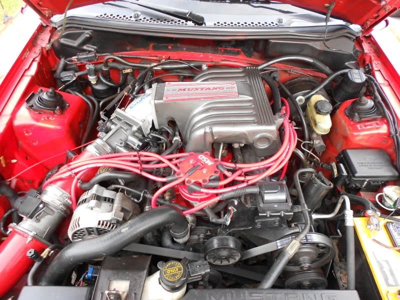DSCN0089.webp