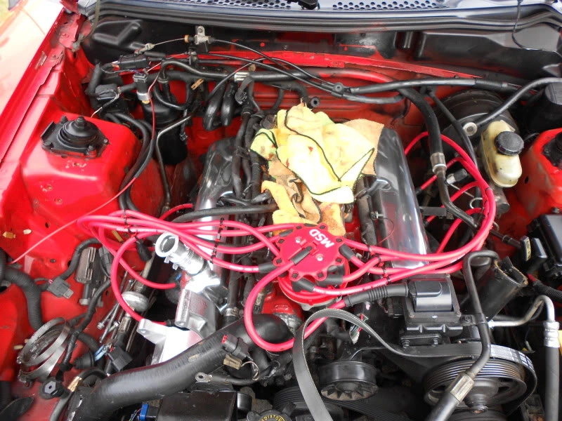 DSCN0090.webp