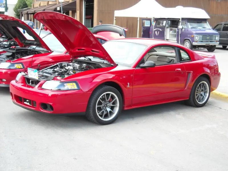 DSCN0093.webp