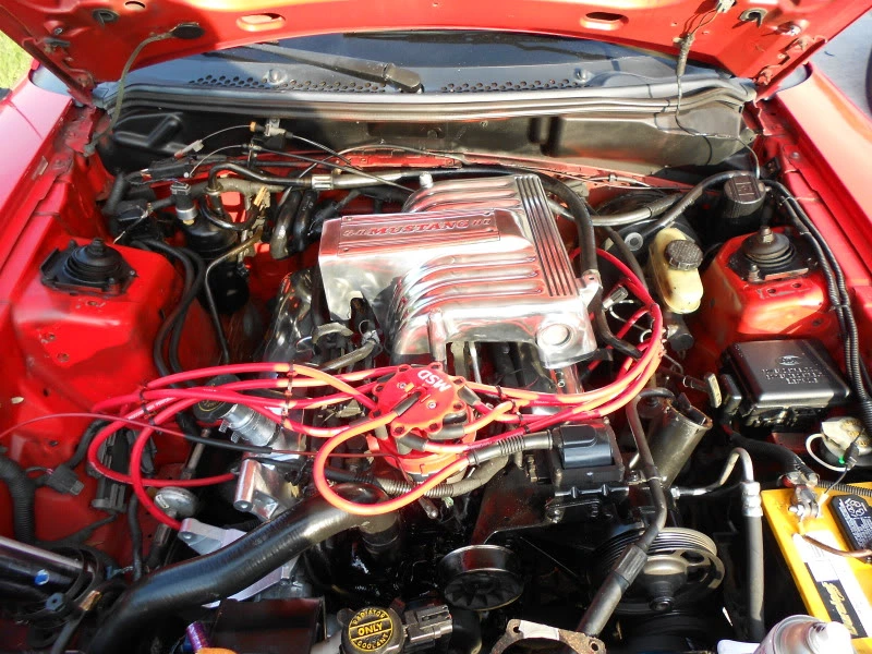 DSCN0100.webp