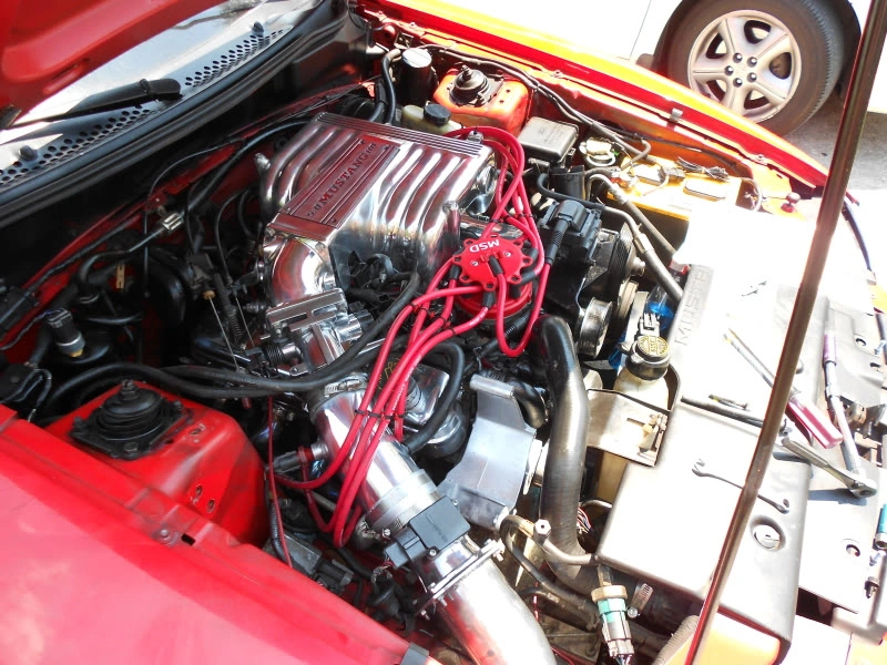 DSCN0103.webp