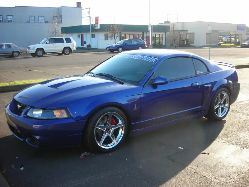 DSCN0103.webp