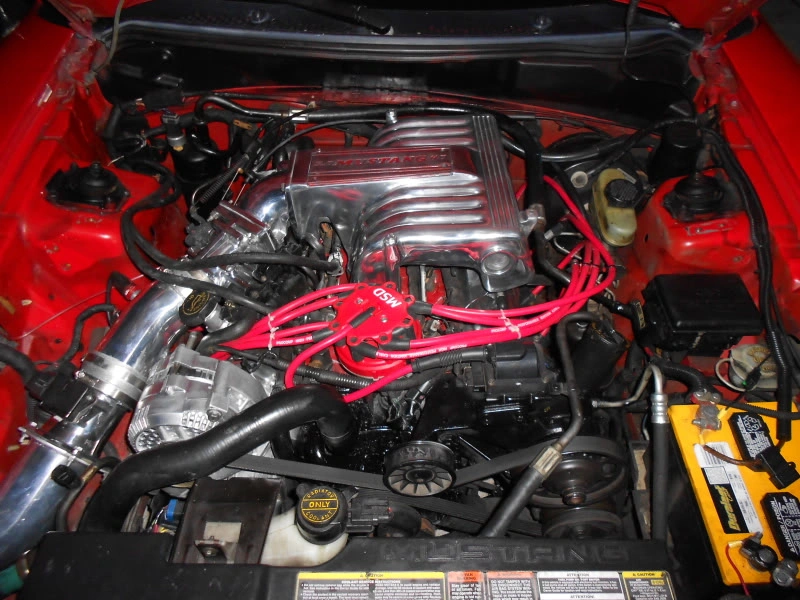 DSCN0108.webp