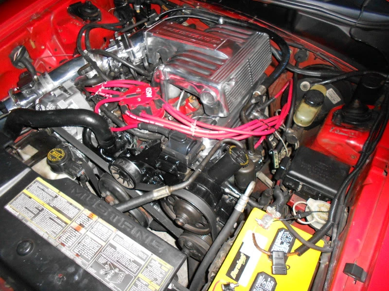 DSCN0109.webp