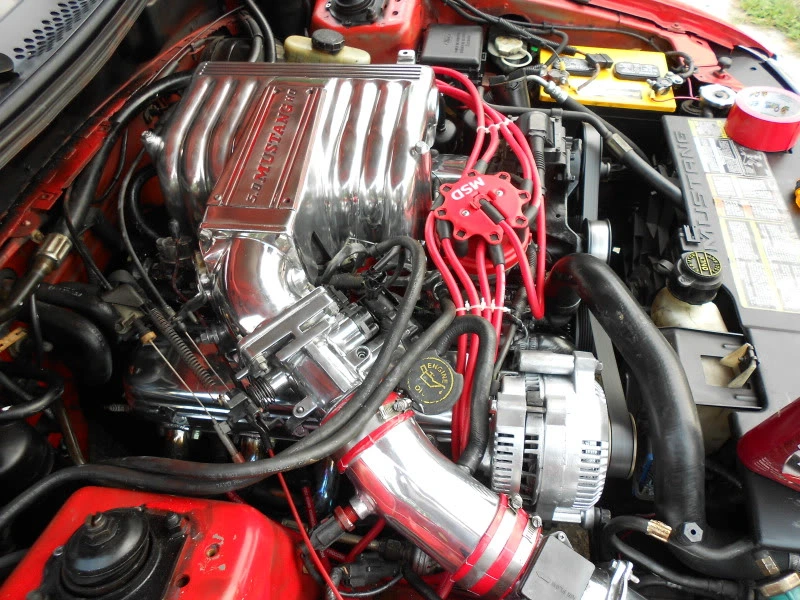 DSCN0115.webp
