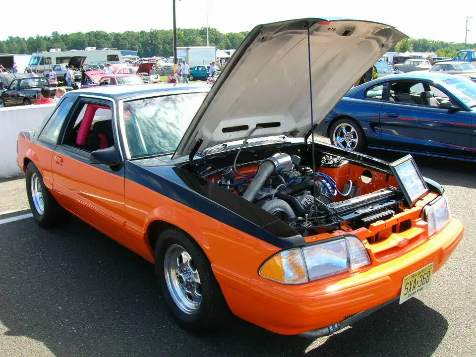 DSCN0147.webp