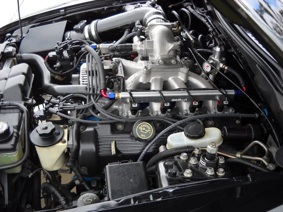 DSCN0151-1.webp