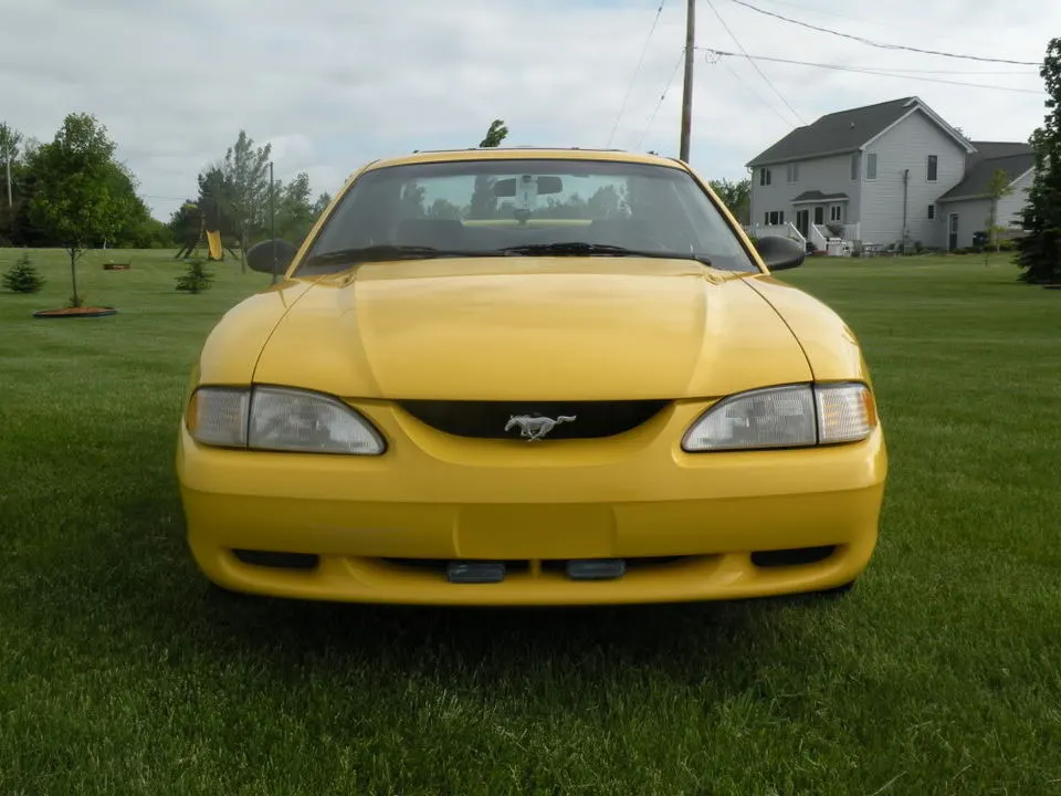 DSCN0155.webp