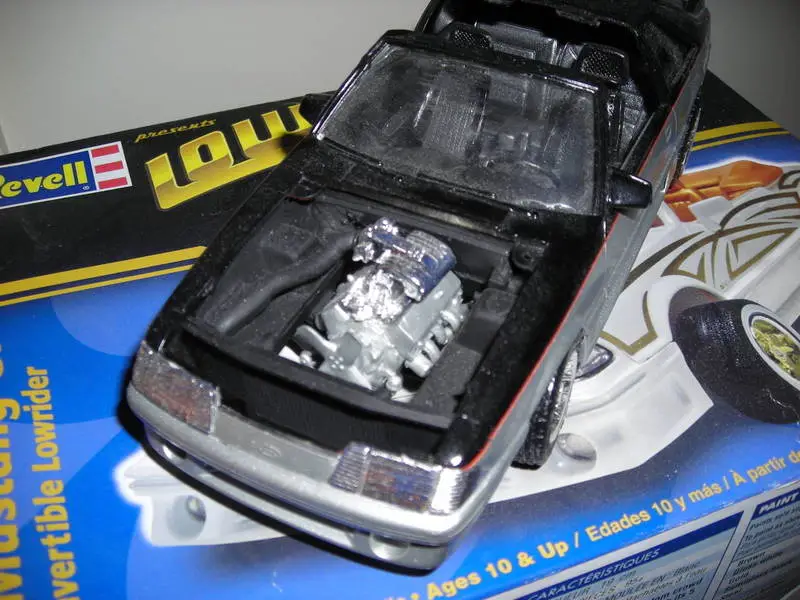 DSCN0162.webp