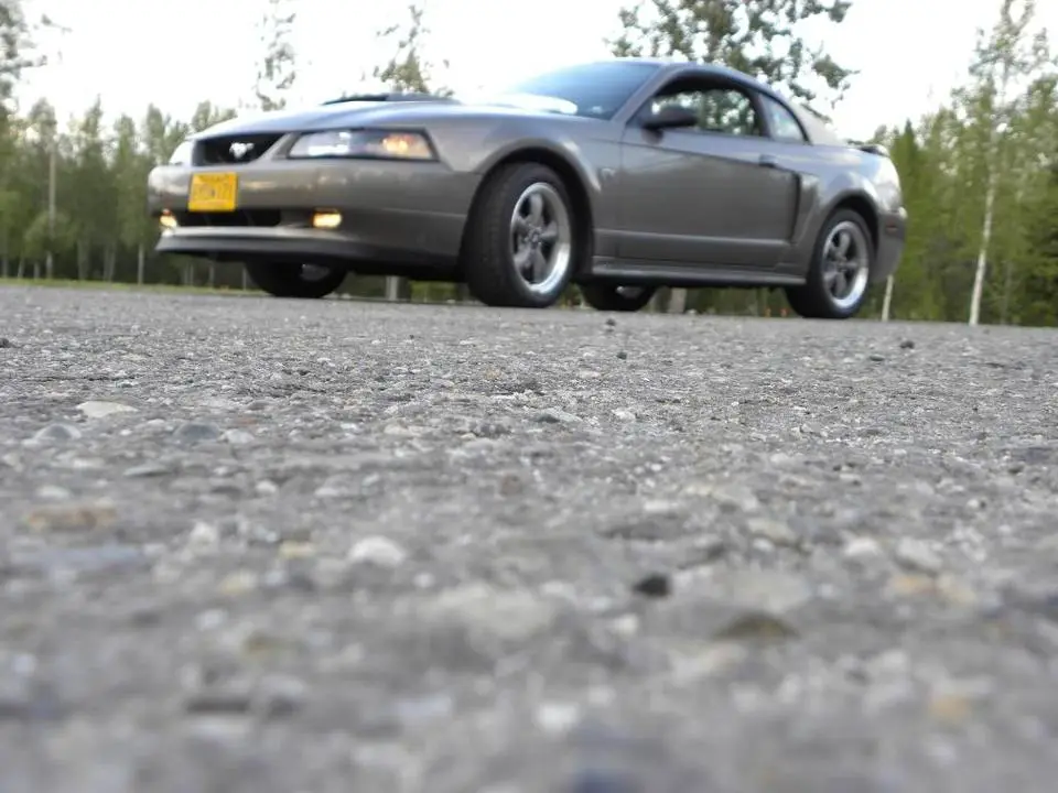 DSCN0165.webp