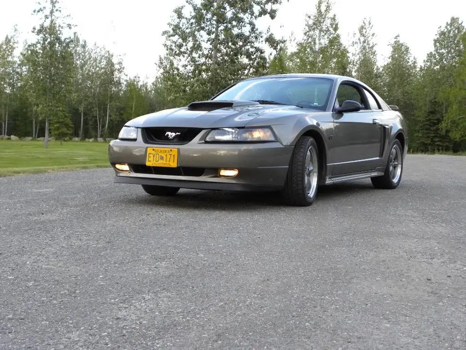 DSCN0166.webp