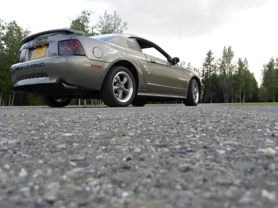 DSCN0169.webp