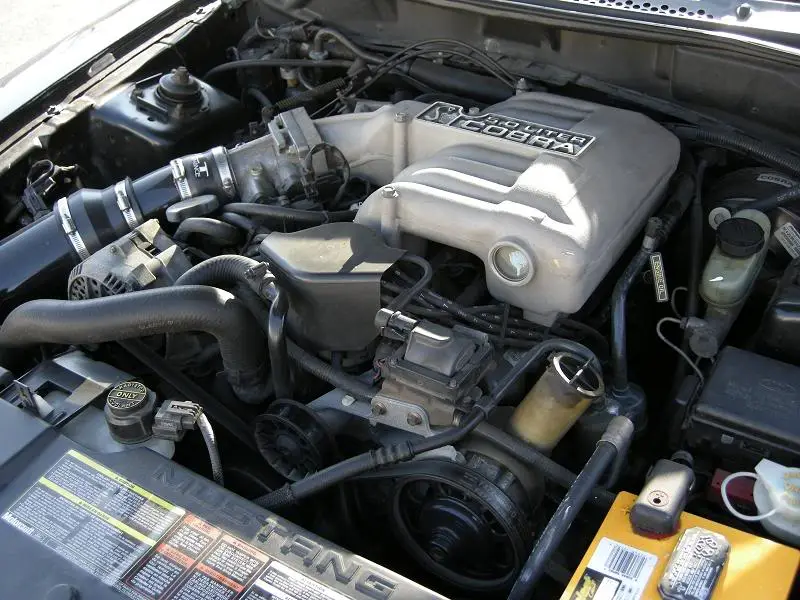 DSCN0173.webp