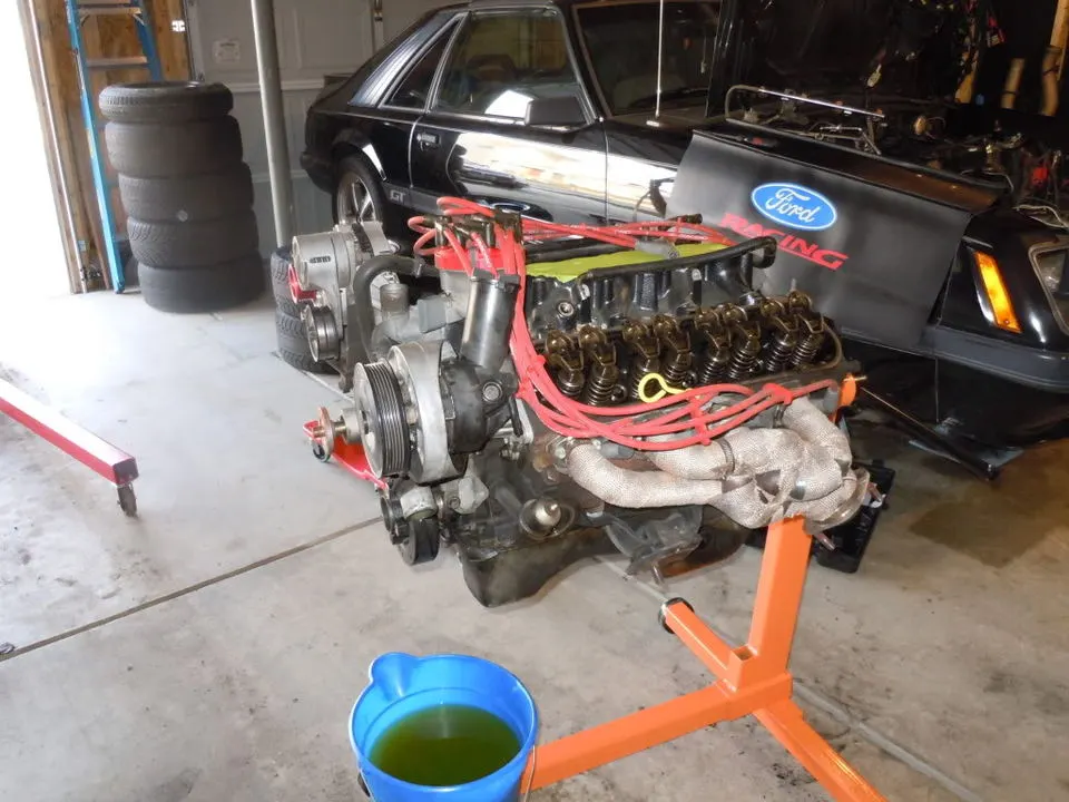 DSCN0188.webp