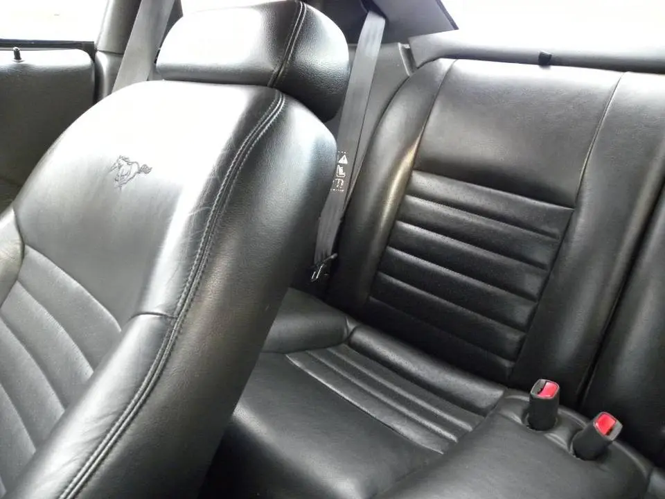 DSCN0191.webp
