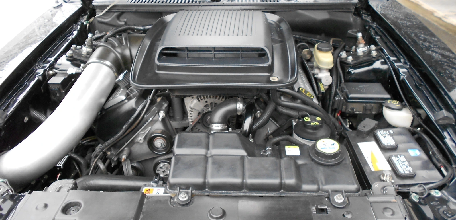 DSCN0193.webp