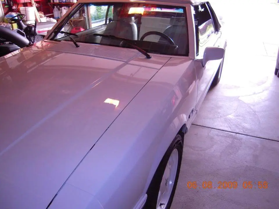 DSCN0194-1.webp