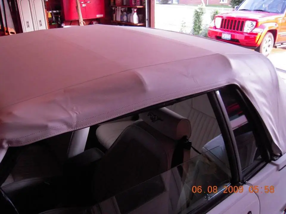DSCN0196-1.webp