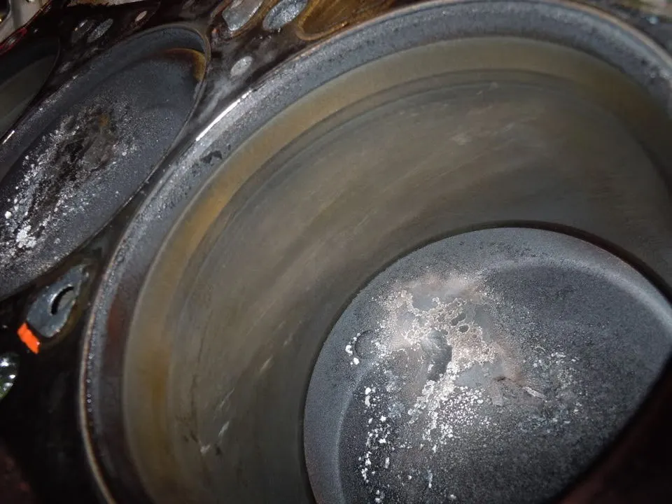 DSCN0205.webp