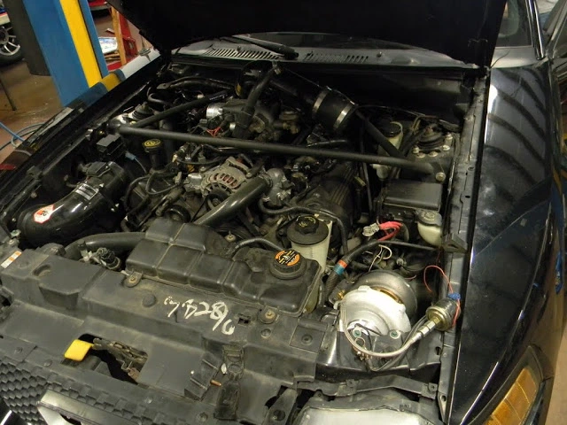 DSCN0210.webp