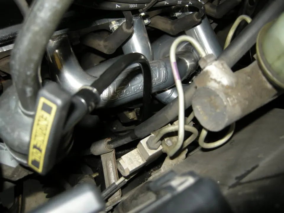 DSCN0214.webp