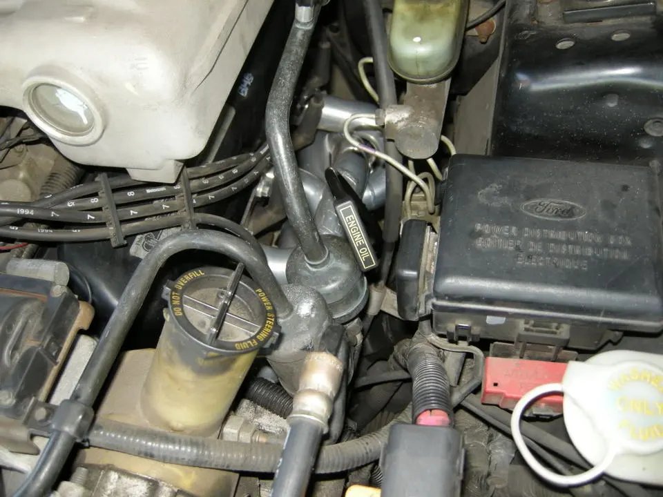 DSCN0216.webp