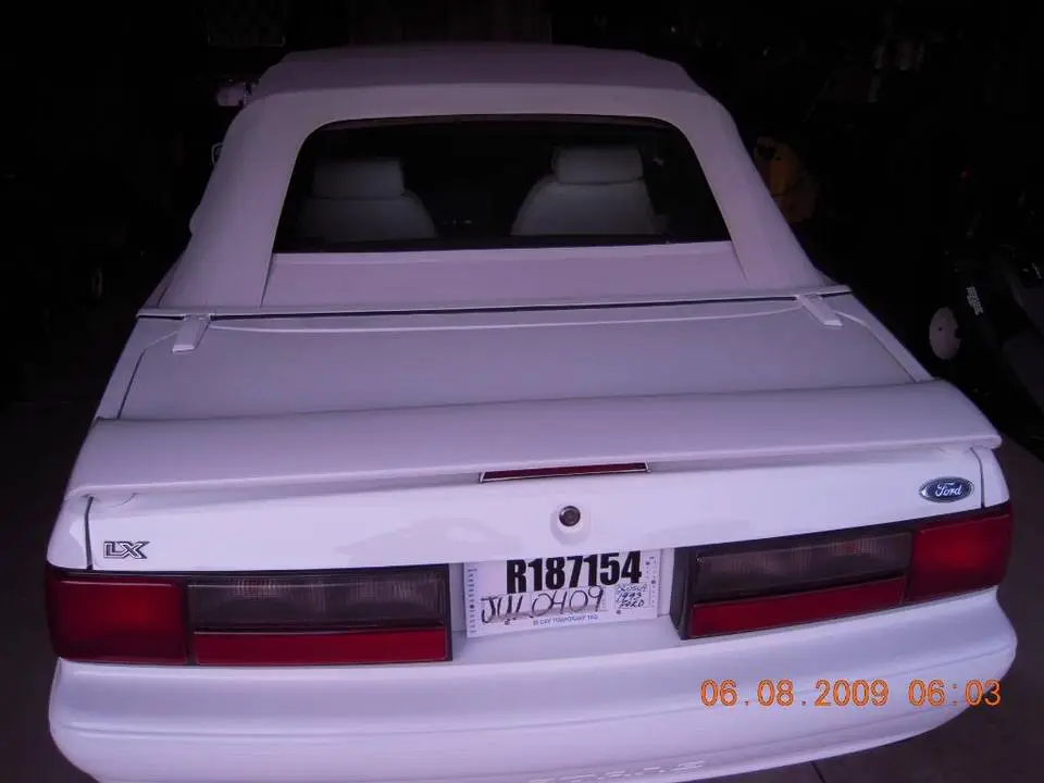 DSCN0220-1.webp