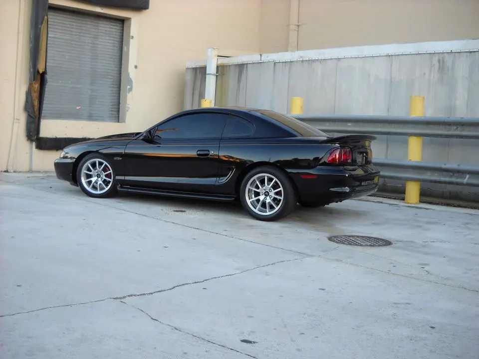 DSCN0220.webp