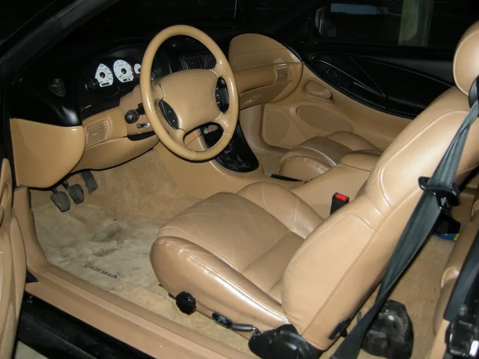 DSCN0220.webp