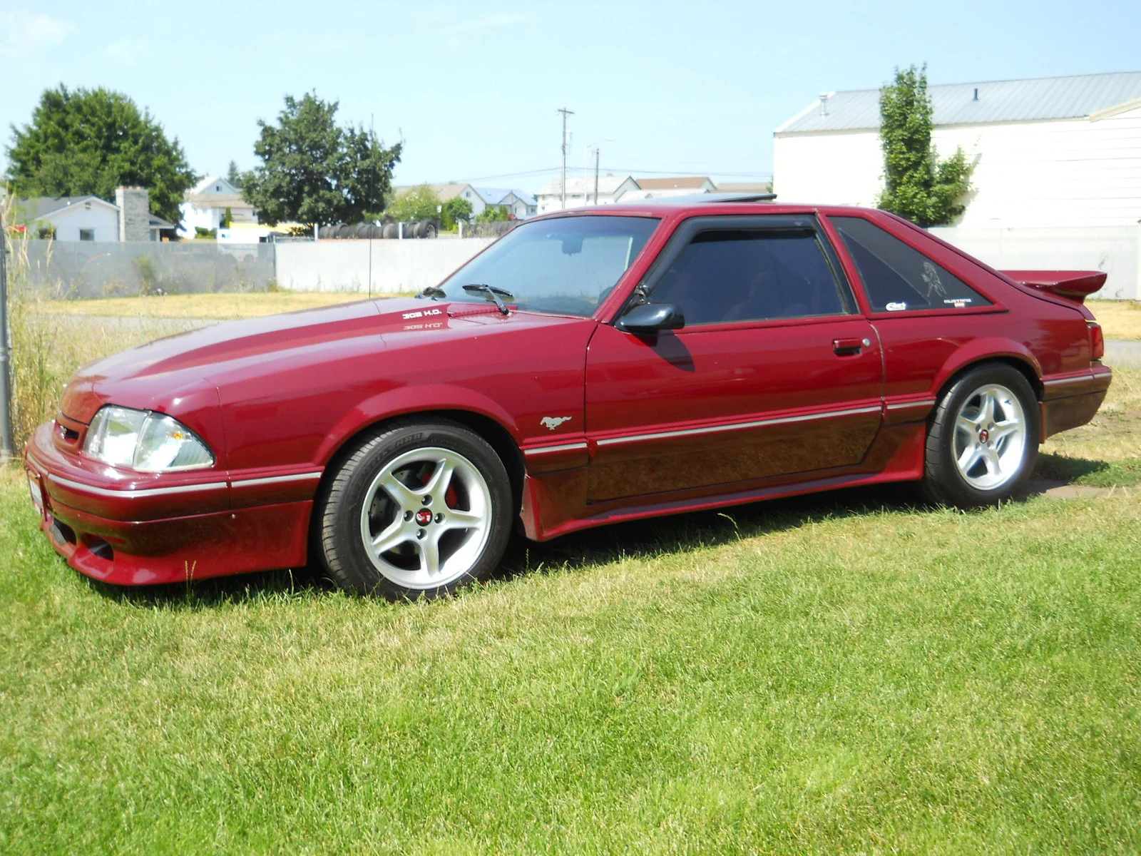 DSCN0223.webp