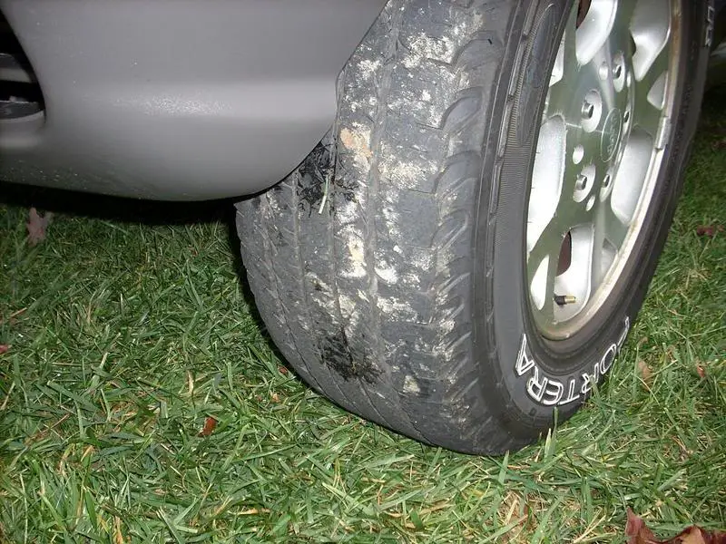 DSCN0250.webp