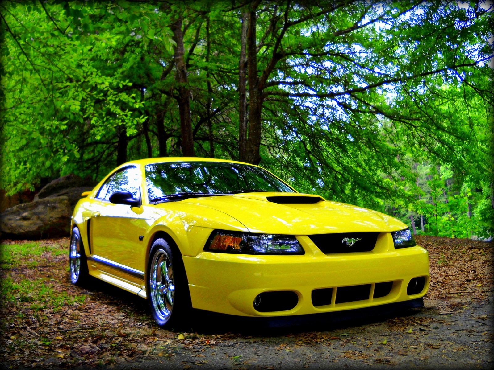 DSCN0250.webp