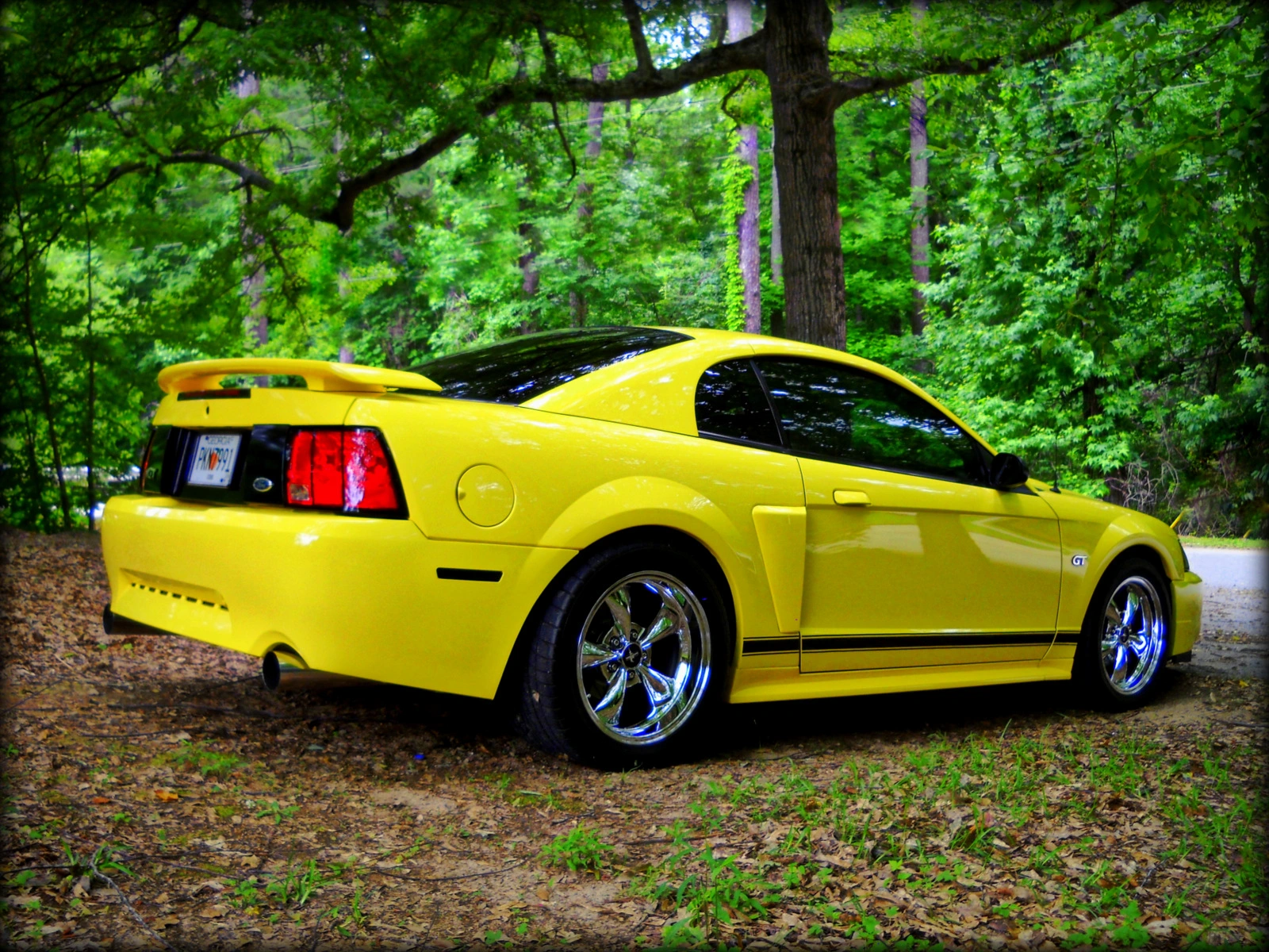 DSCN0255.webp